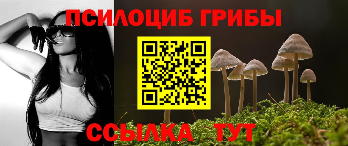 Кизляр  Псилоцибиновые грибы Psilocybe  Вход с VPN 