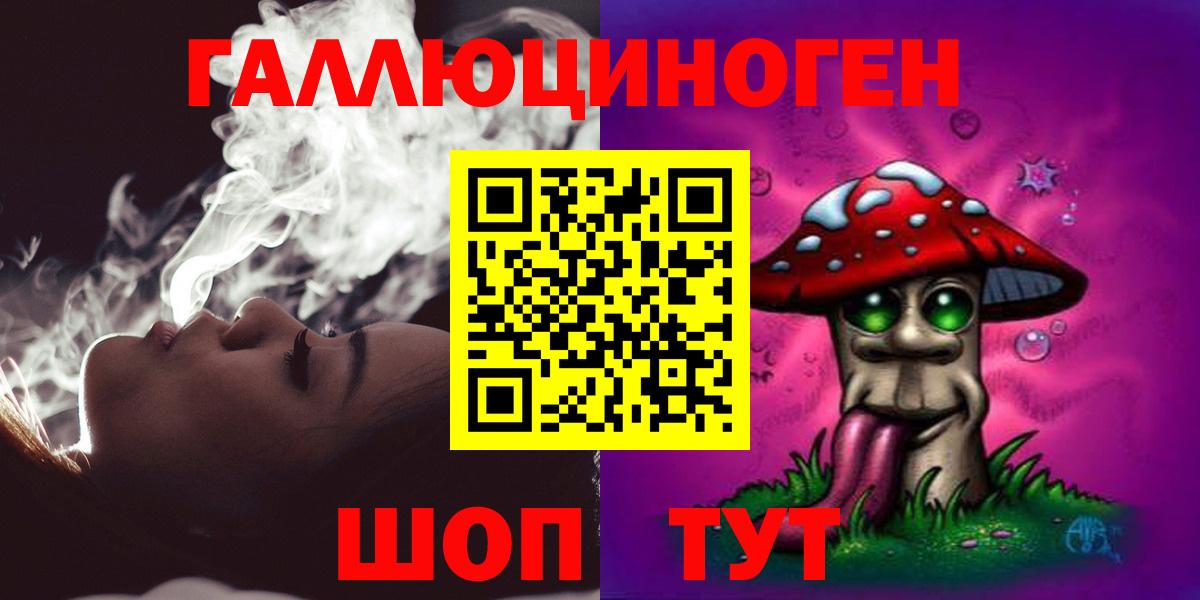 Псилоцибиновые грибы Psilocybe Кизляр